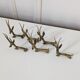 6 portes couteaux antilopes