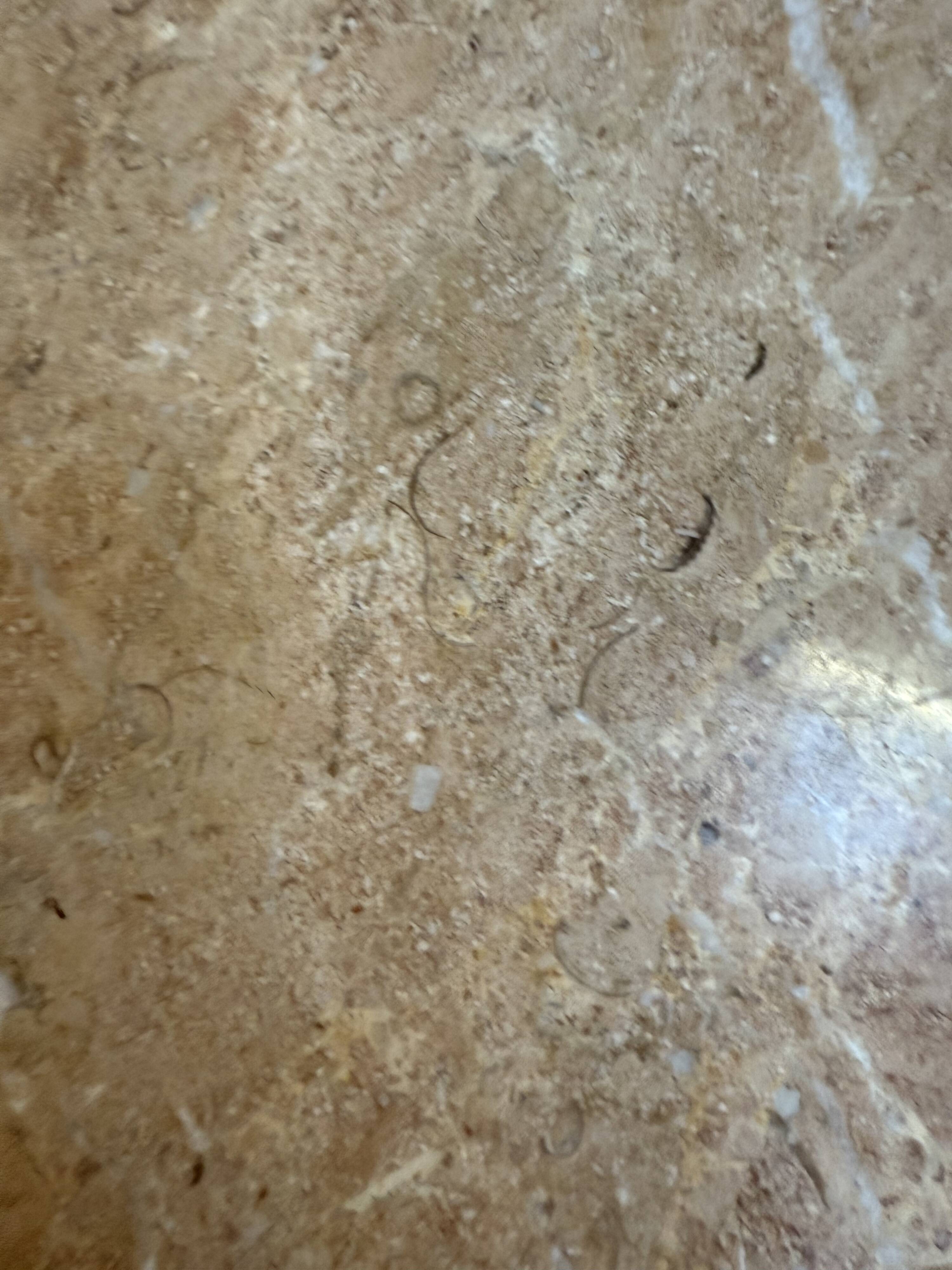 Maurice Burke Vintage Tulip Table