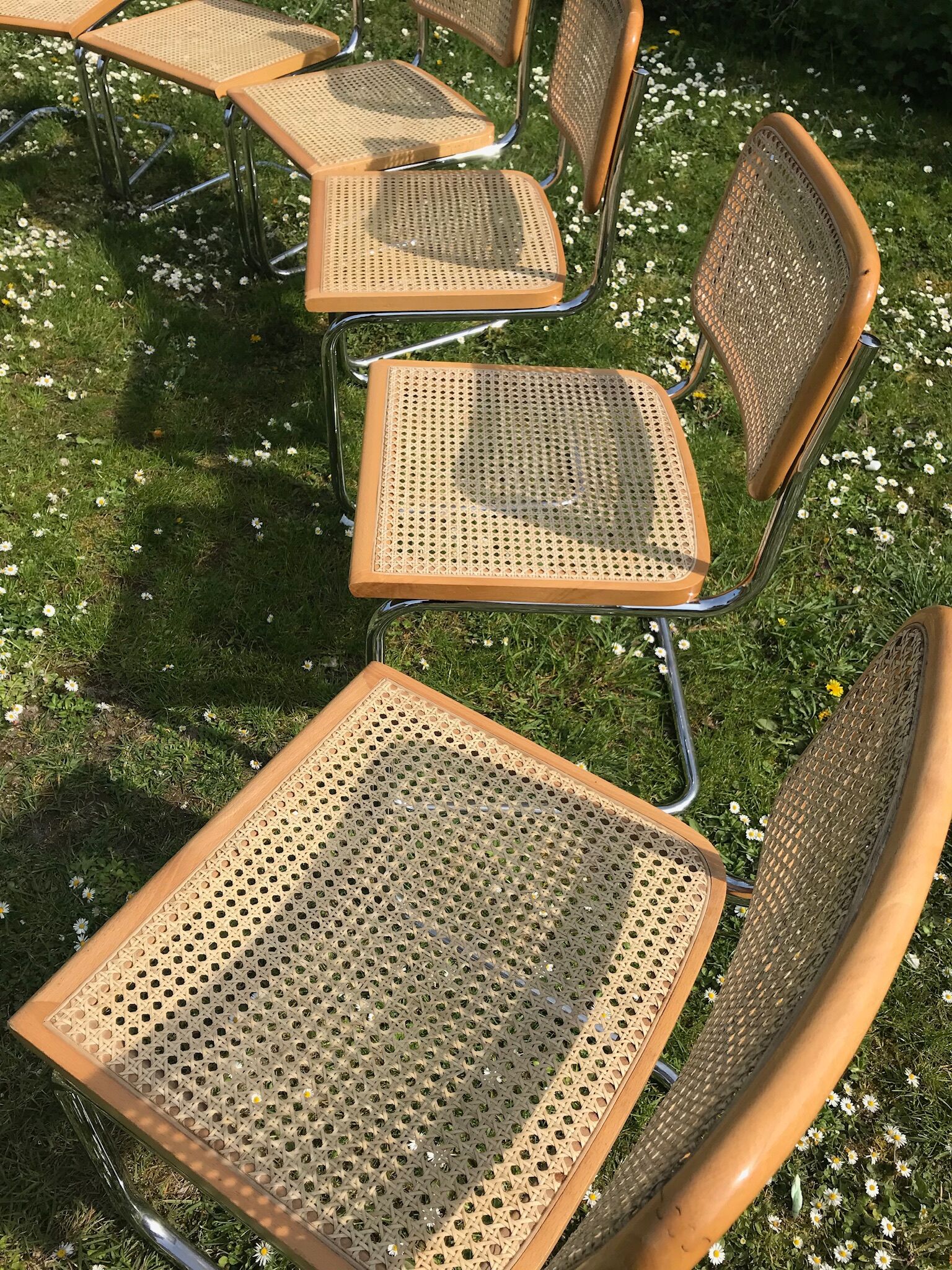 Set of 6 chairs cesca b32 design Marcel Breuer italy