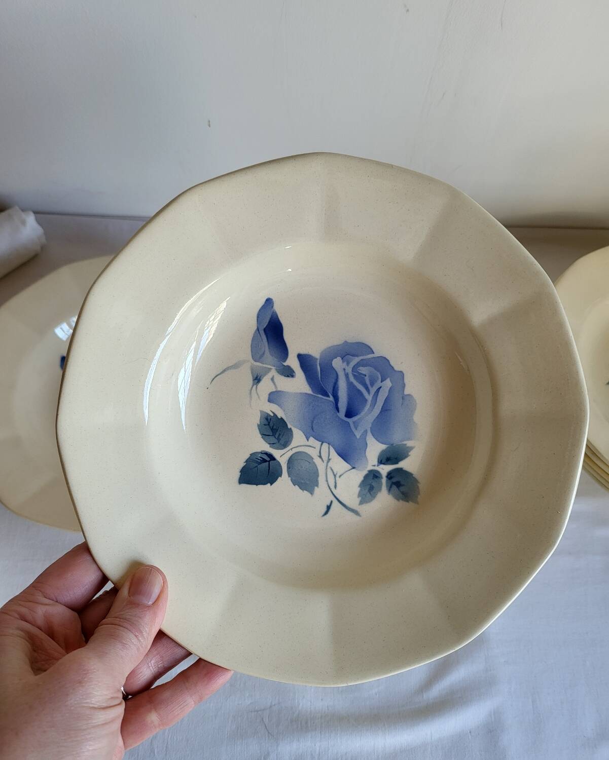 7 vintage deep plates in earthenware from Digoin Sarreguemines