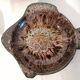 Set of 7 fish-shaped plates signed MARIUS GIUGE circa 1970