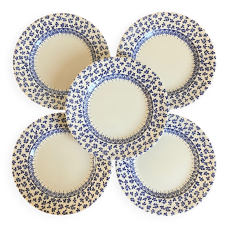 5 assiettes à café en porcelaine anglaise