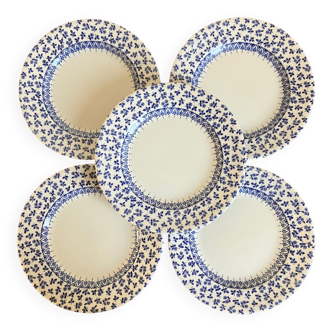 5 English porcelain coffee plates