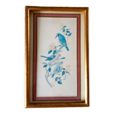 Painting with birds in an old golden frame