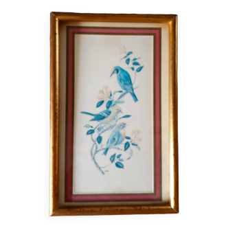 Painting with birds in an old golden frame