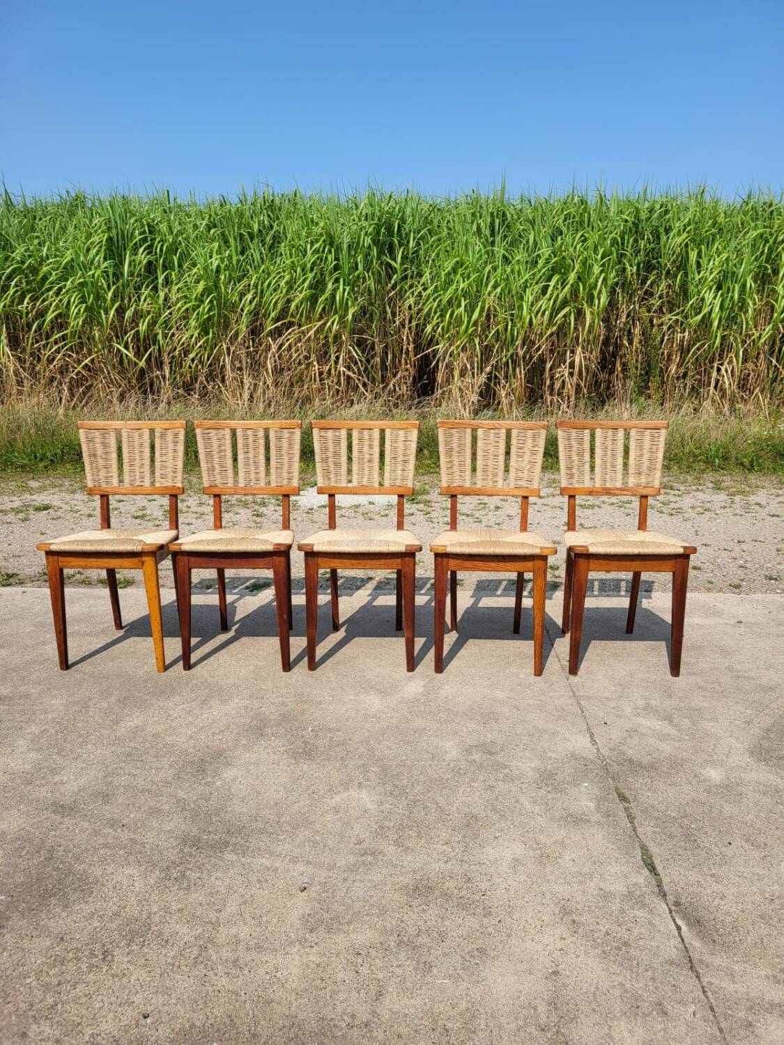 Set 6 vintage Dutch Design chair Mart Stam a2-1 wood rush rustic 1947