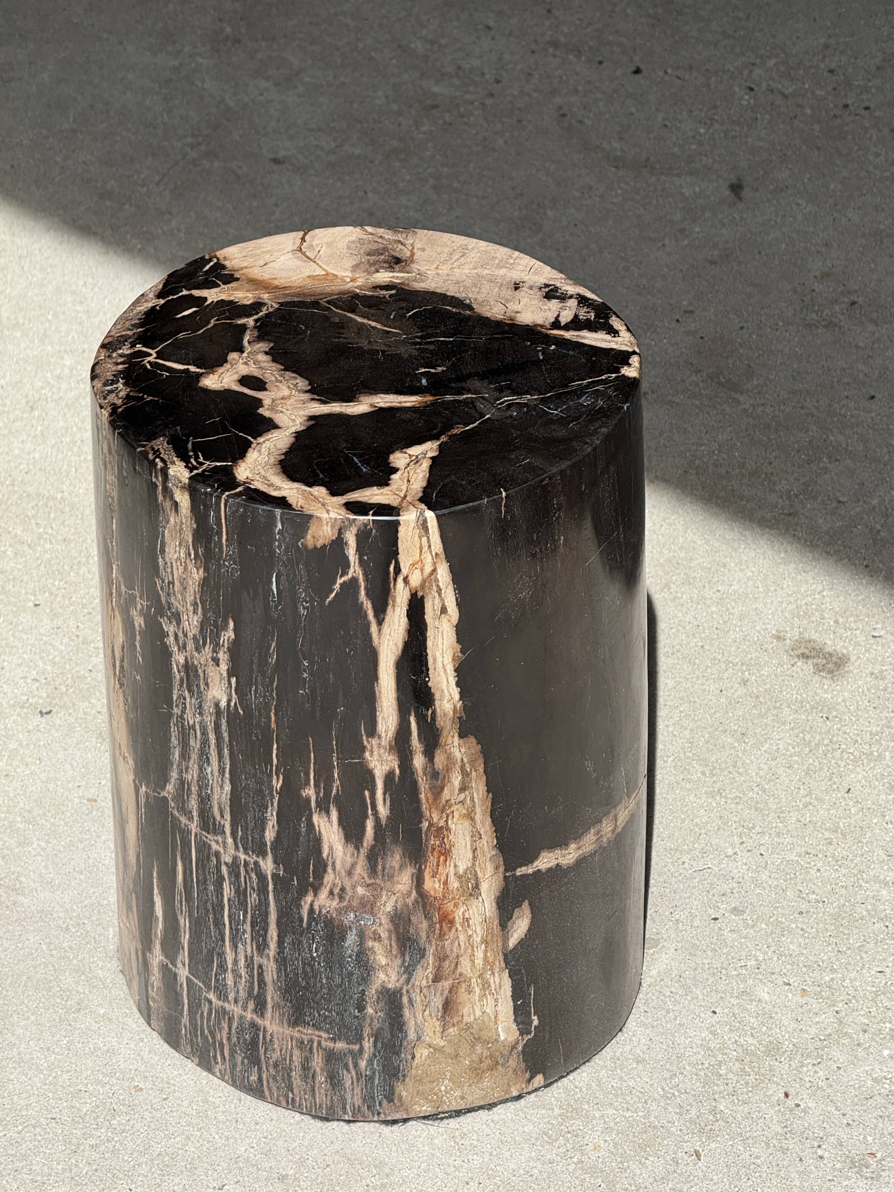Black petrified wood side table with beige stripes and a semicircular shape.