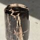 Black petrified wood side table with beige stripes and a semicircular shape.