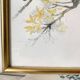 Framed bird engraving, botanical plate sternus vulgaris