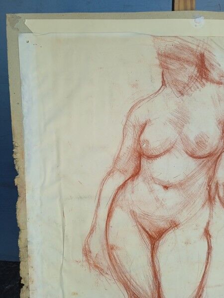 Drawing sanguine study nude female 67/50cm 1950