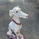 Large Sitting Greyhound Statue in Concrete / Cement - Garden Decoration or