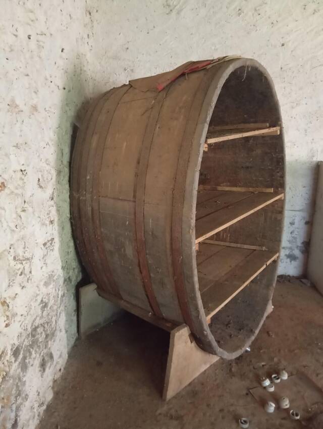 Wine cellar library in oak cask