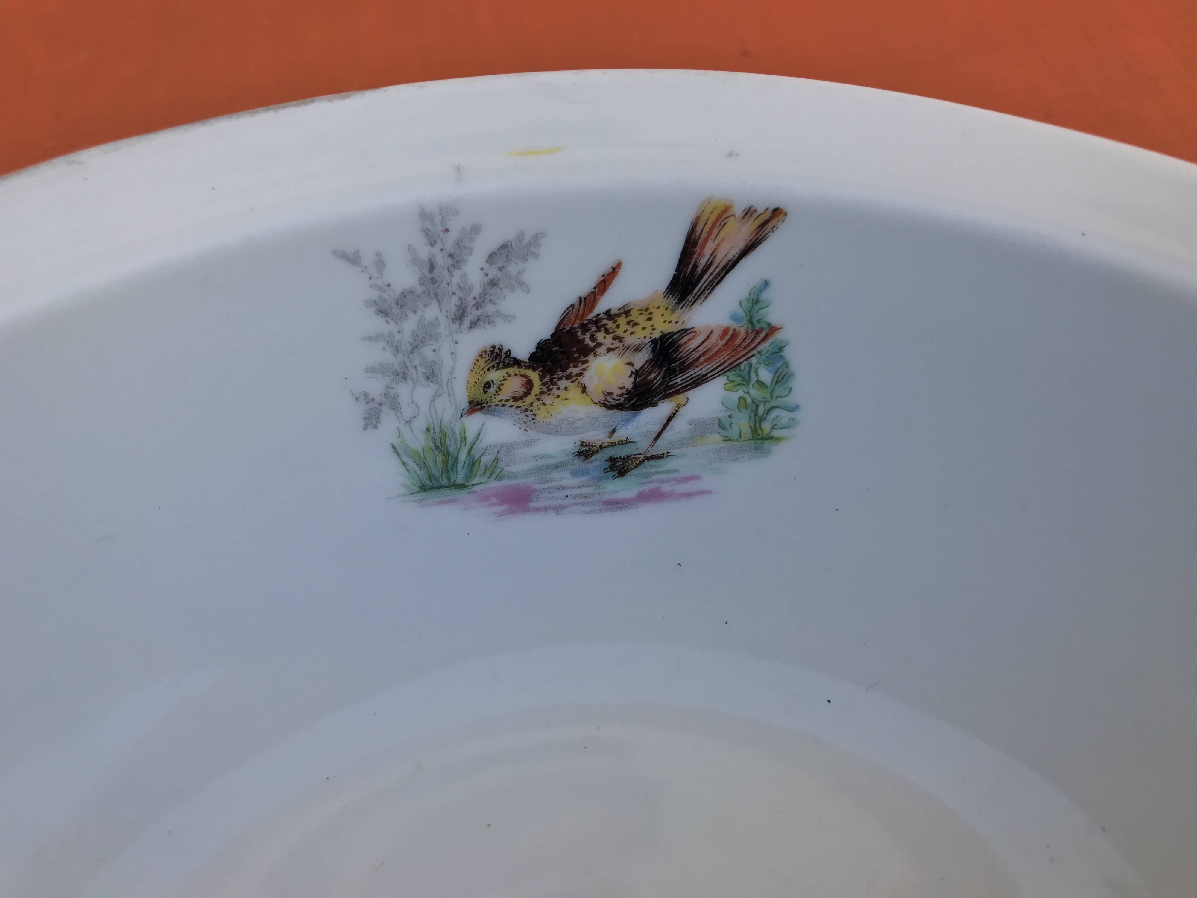 Old dish Decor Beaks and Feathers Pillivuyt France Deposited