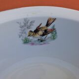 Old dish Decor Beaks and Feathers Pillivuyt France Deposited
