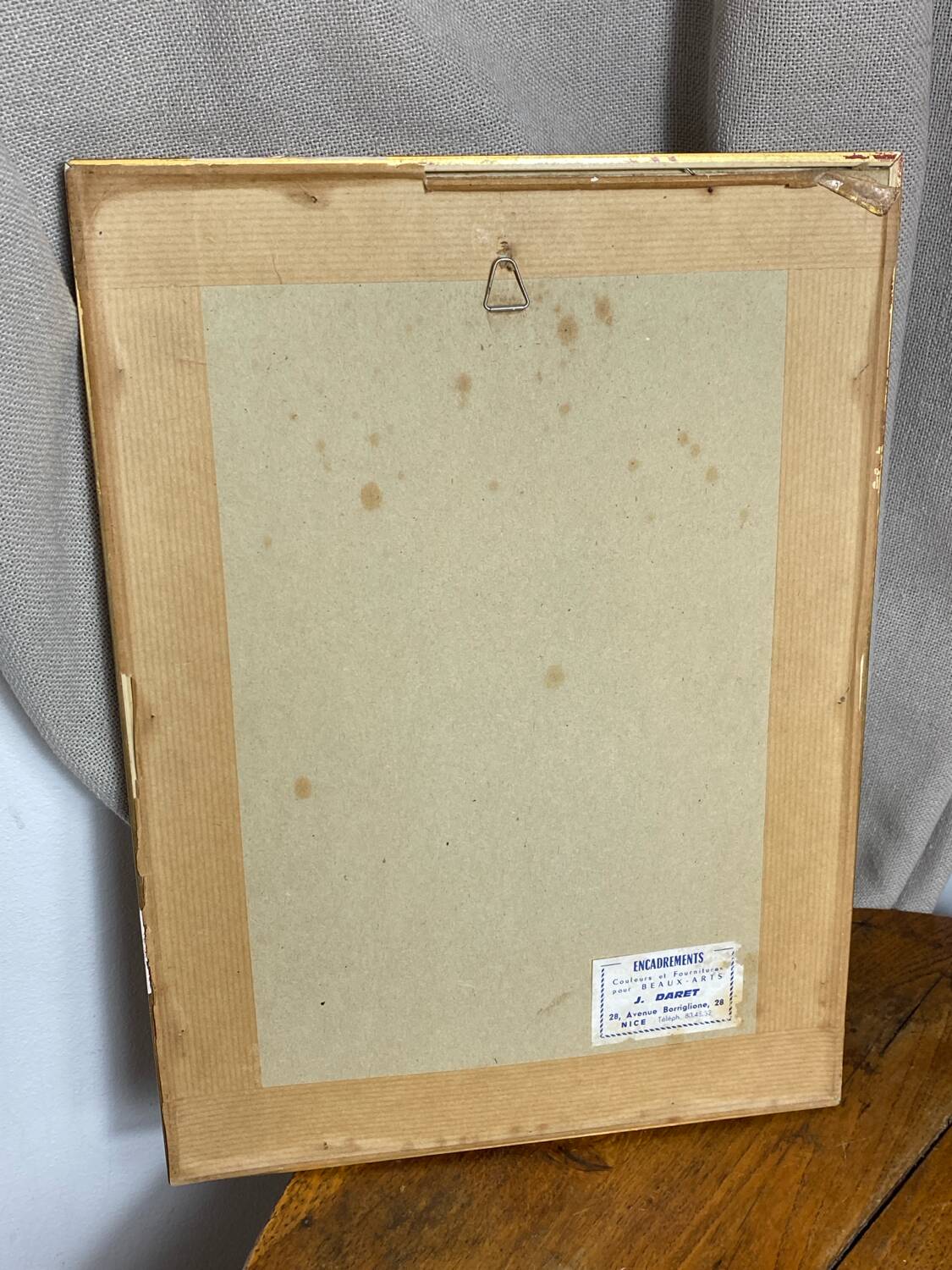 Framed botanical poster, rose bush