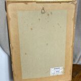 Framed botanical poster, rose bush