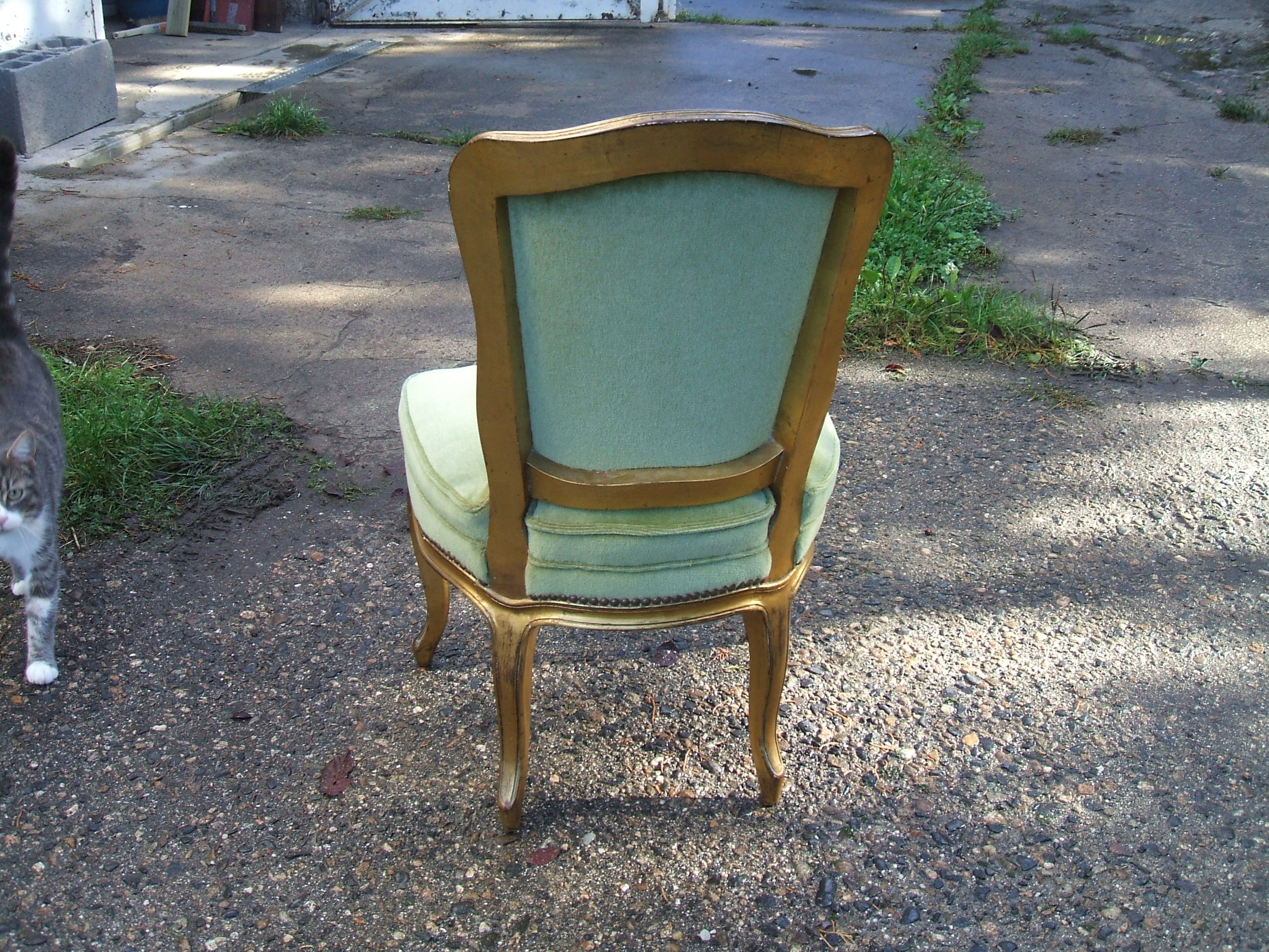 Wooden chair dore style Louis XV