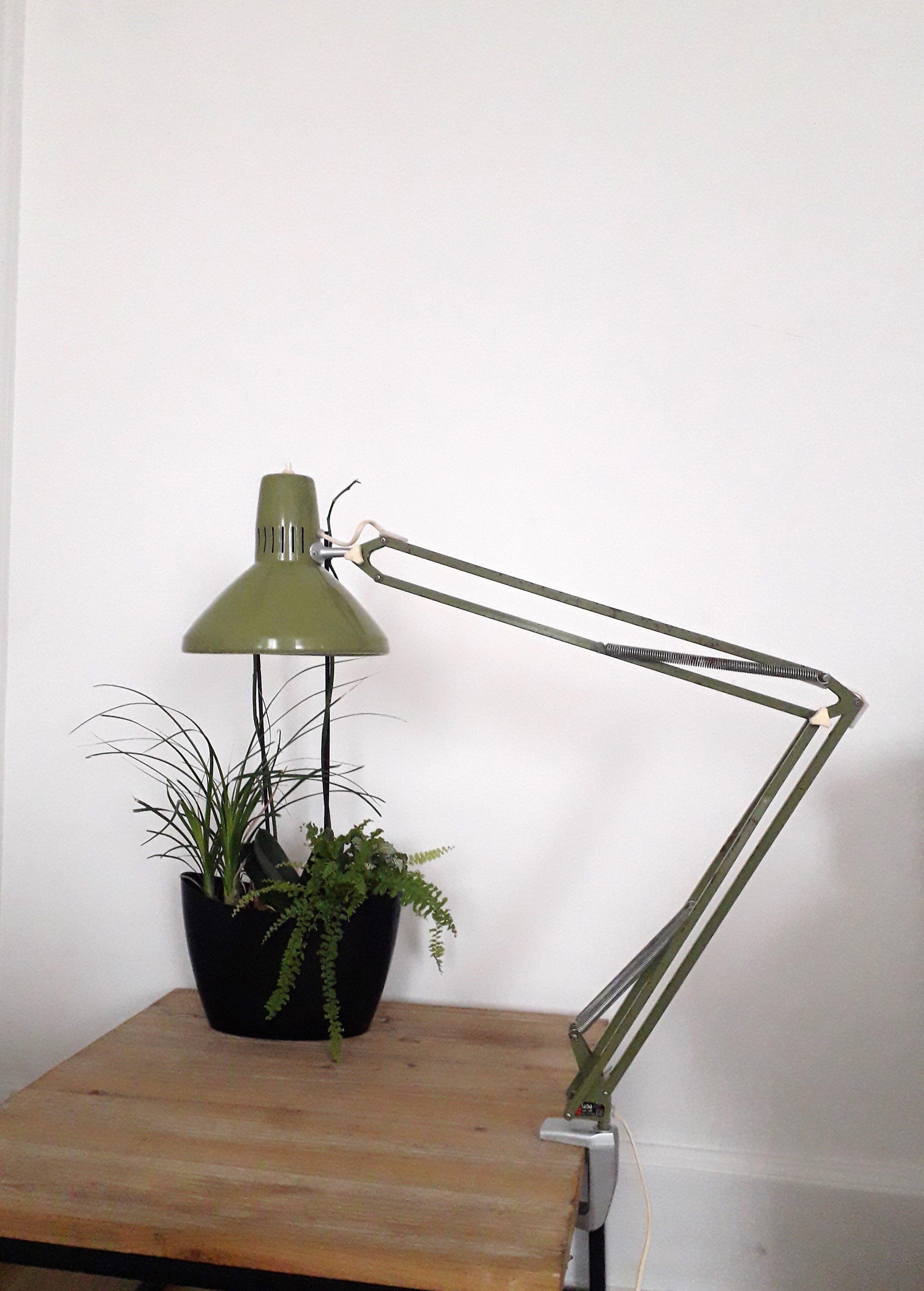 Lampe articulée Ledu type 2312 atelier architecte métal laqué vert -1970