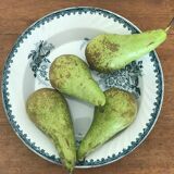 Service Terre de Fer