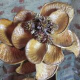 Lamp vintage leaves and flowers of dried banana 70's