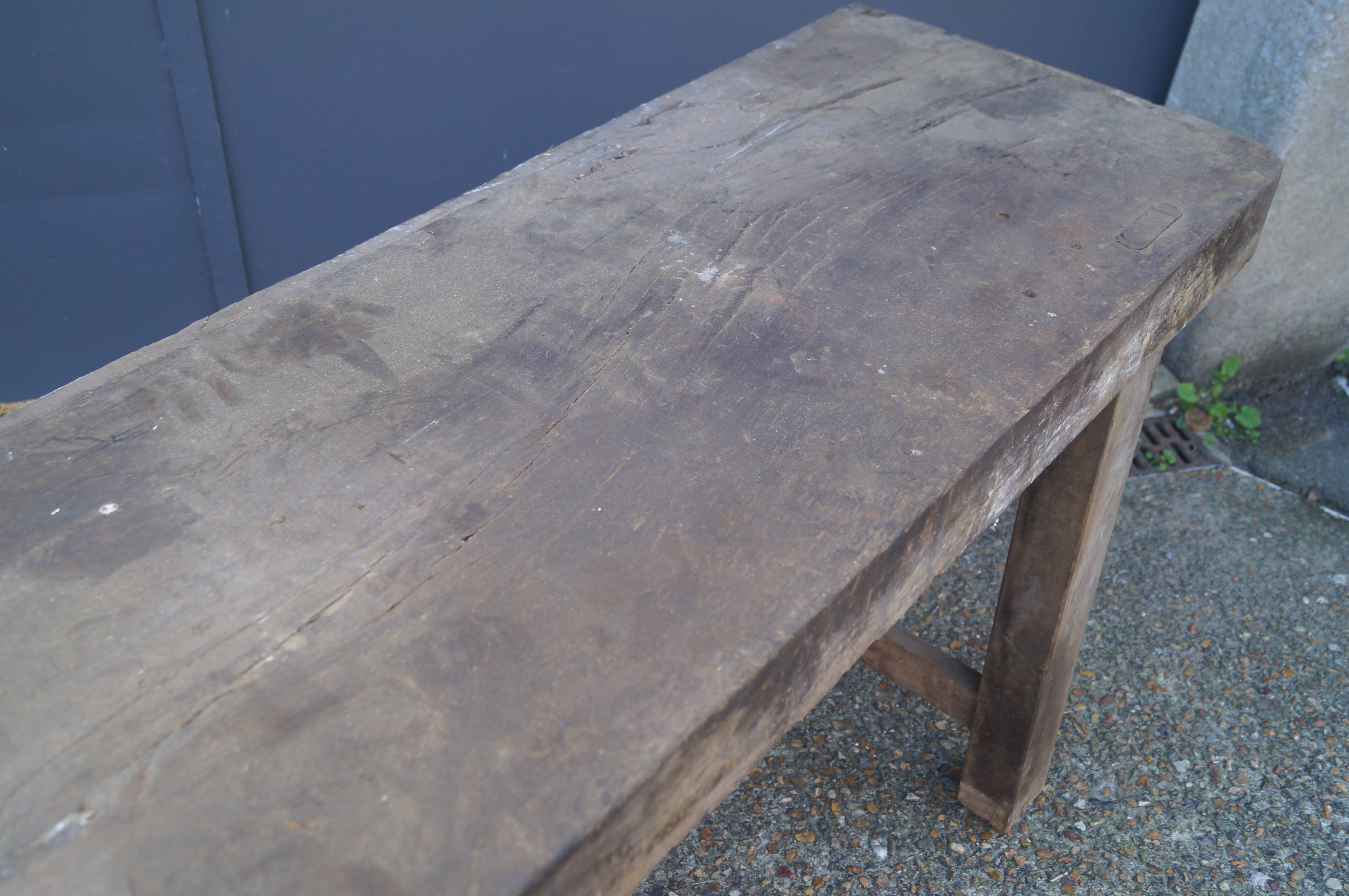 Oak establishment 1900