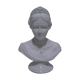 Bust