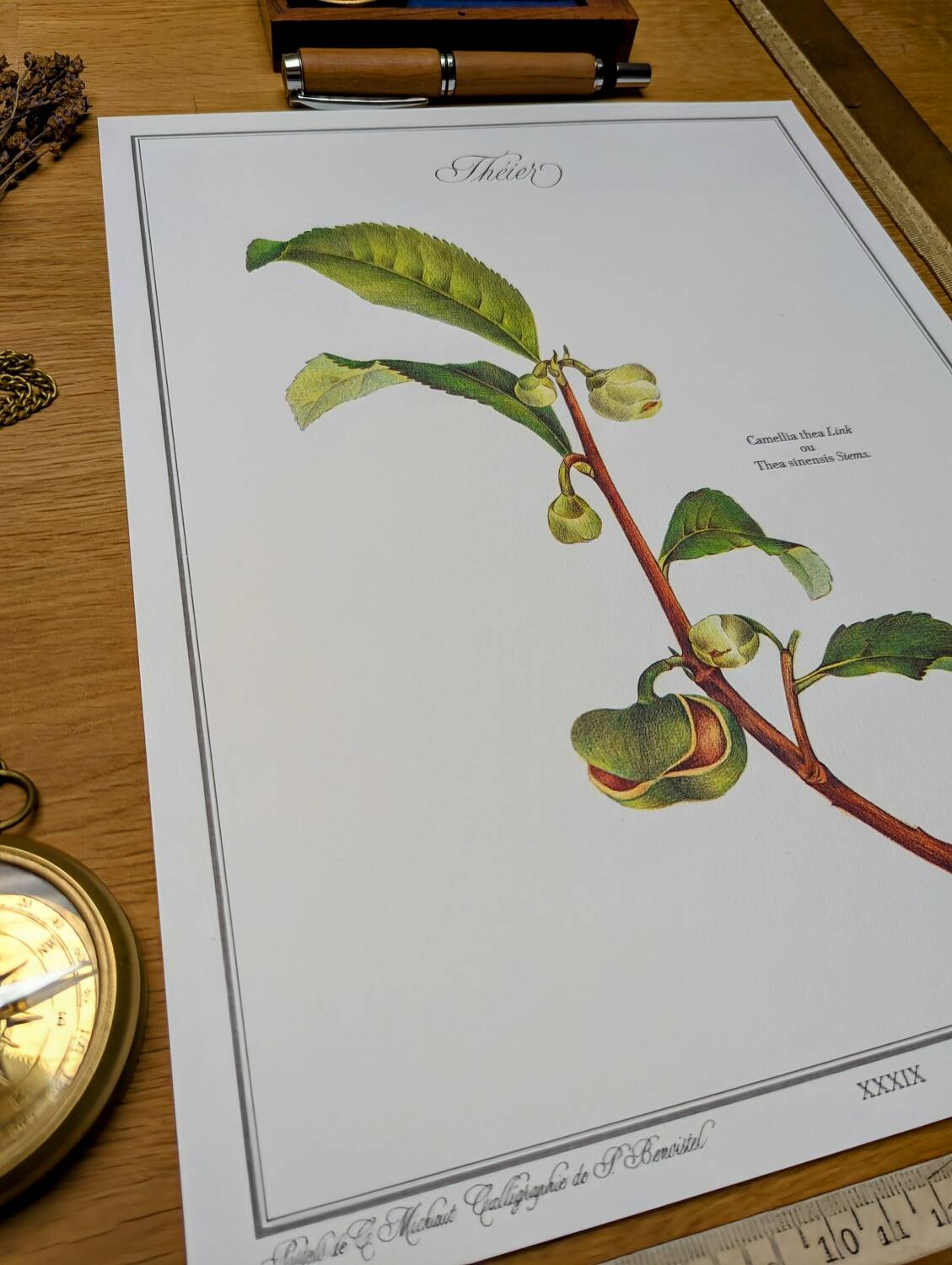 Printed in 1986, The Tea Planter. Original Vintage and Authentic.