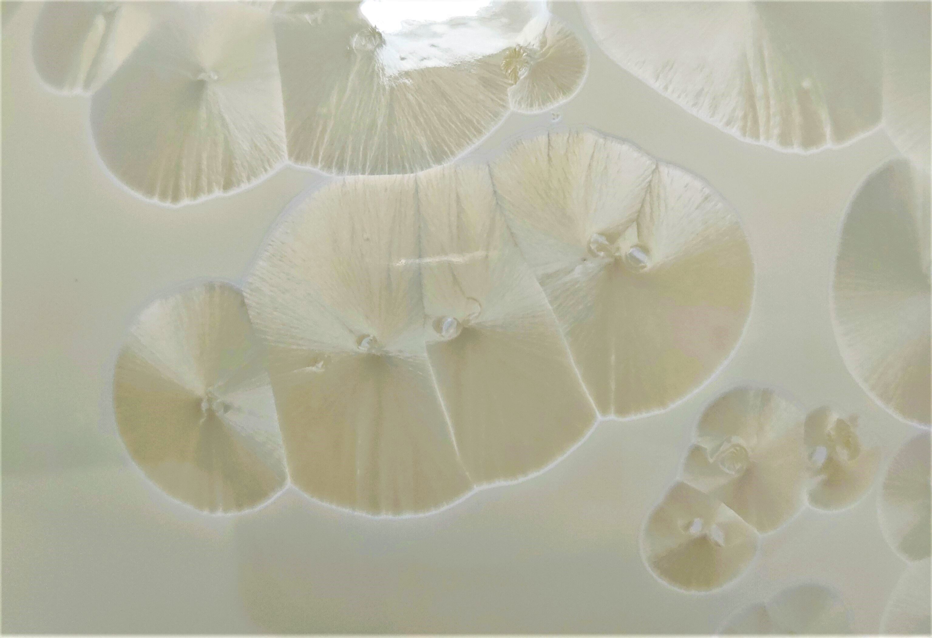 Ceramic vase with crystallizations by Bernard Guipouy stamped