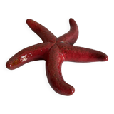 ceramic starfish