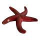 ceramic starfish