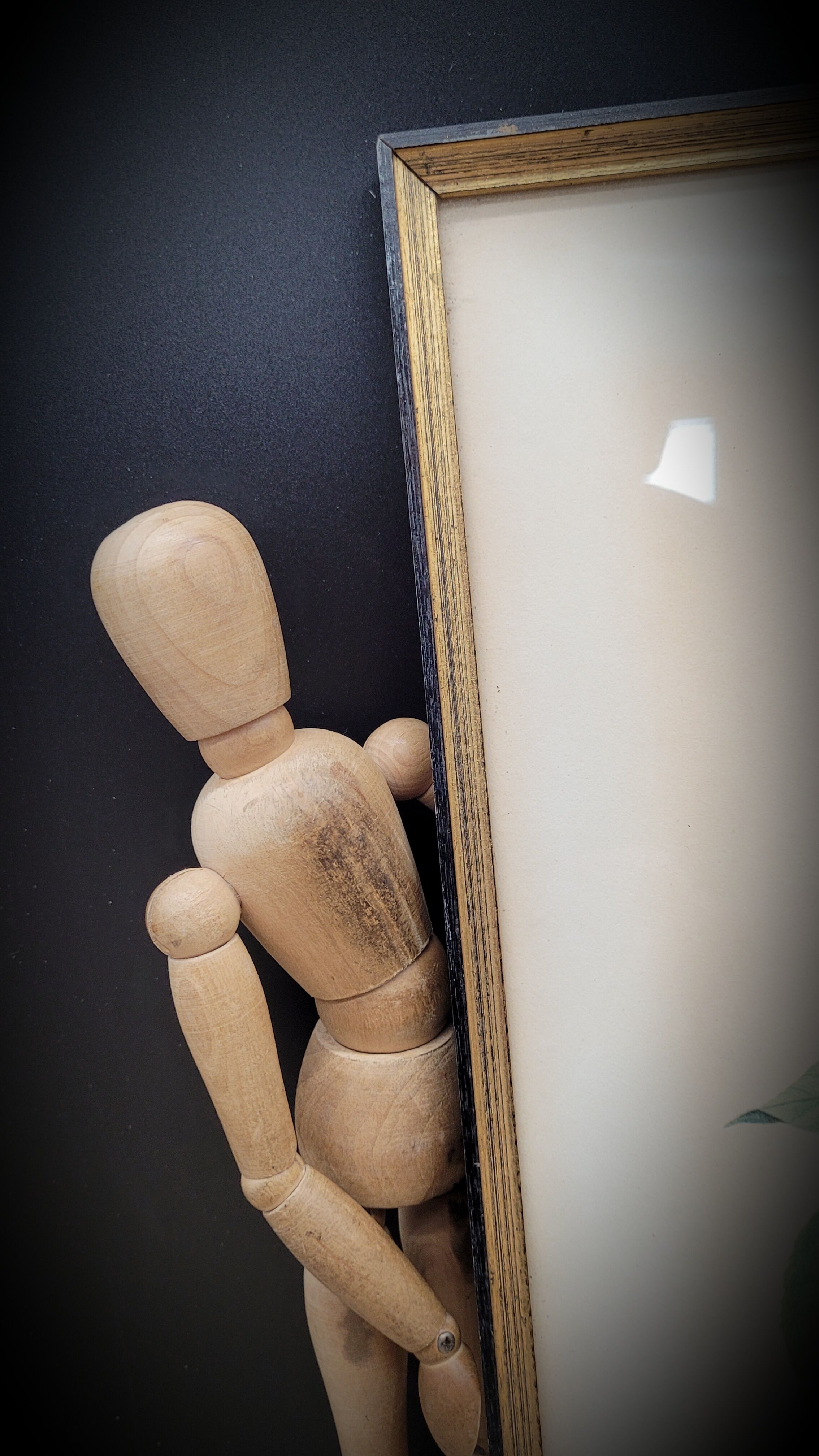 Lithograph Bengal Rose with large leaves