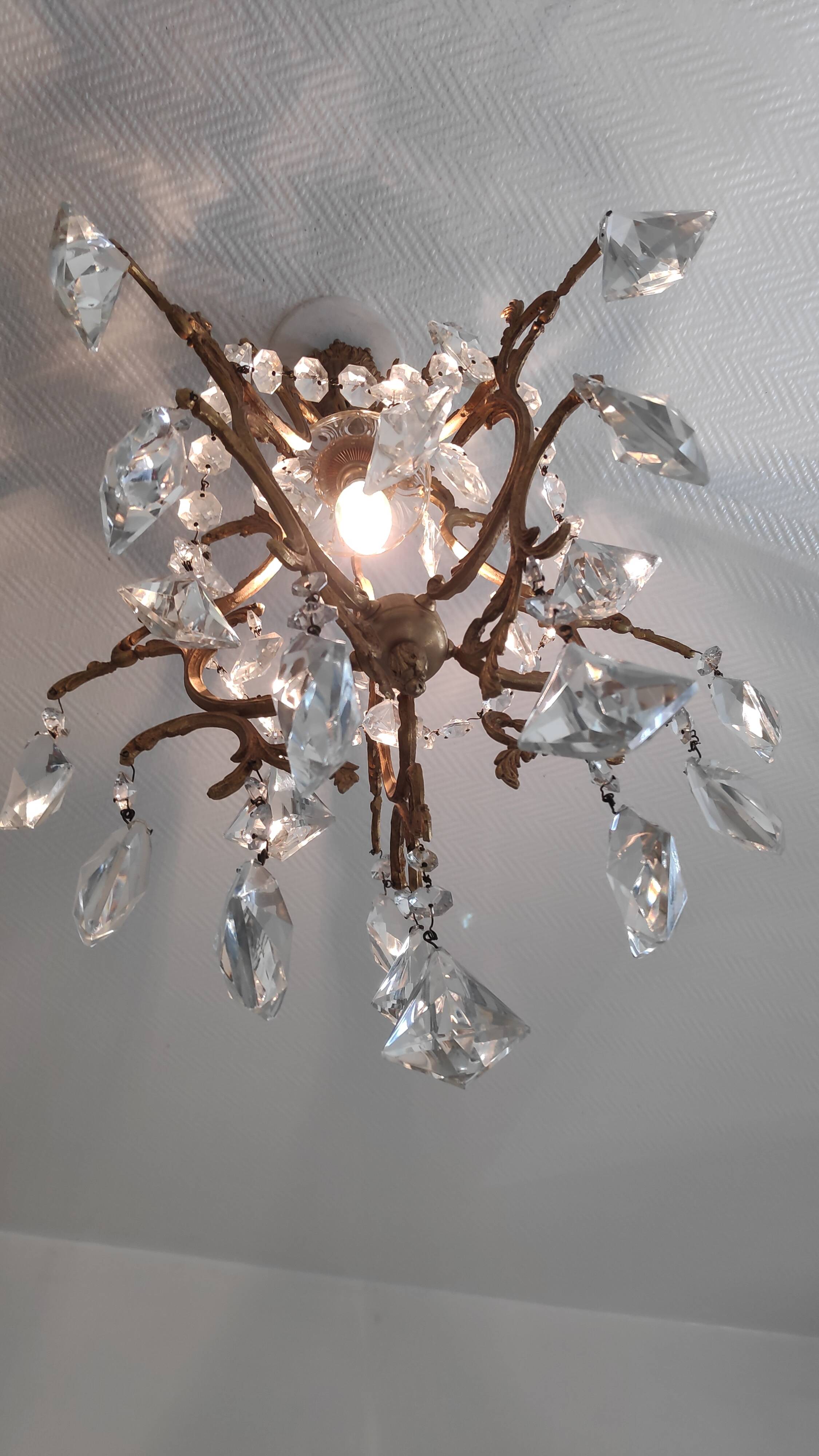 Bronze cage chandelier and crystal grapevines