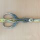 Grape scissors