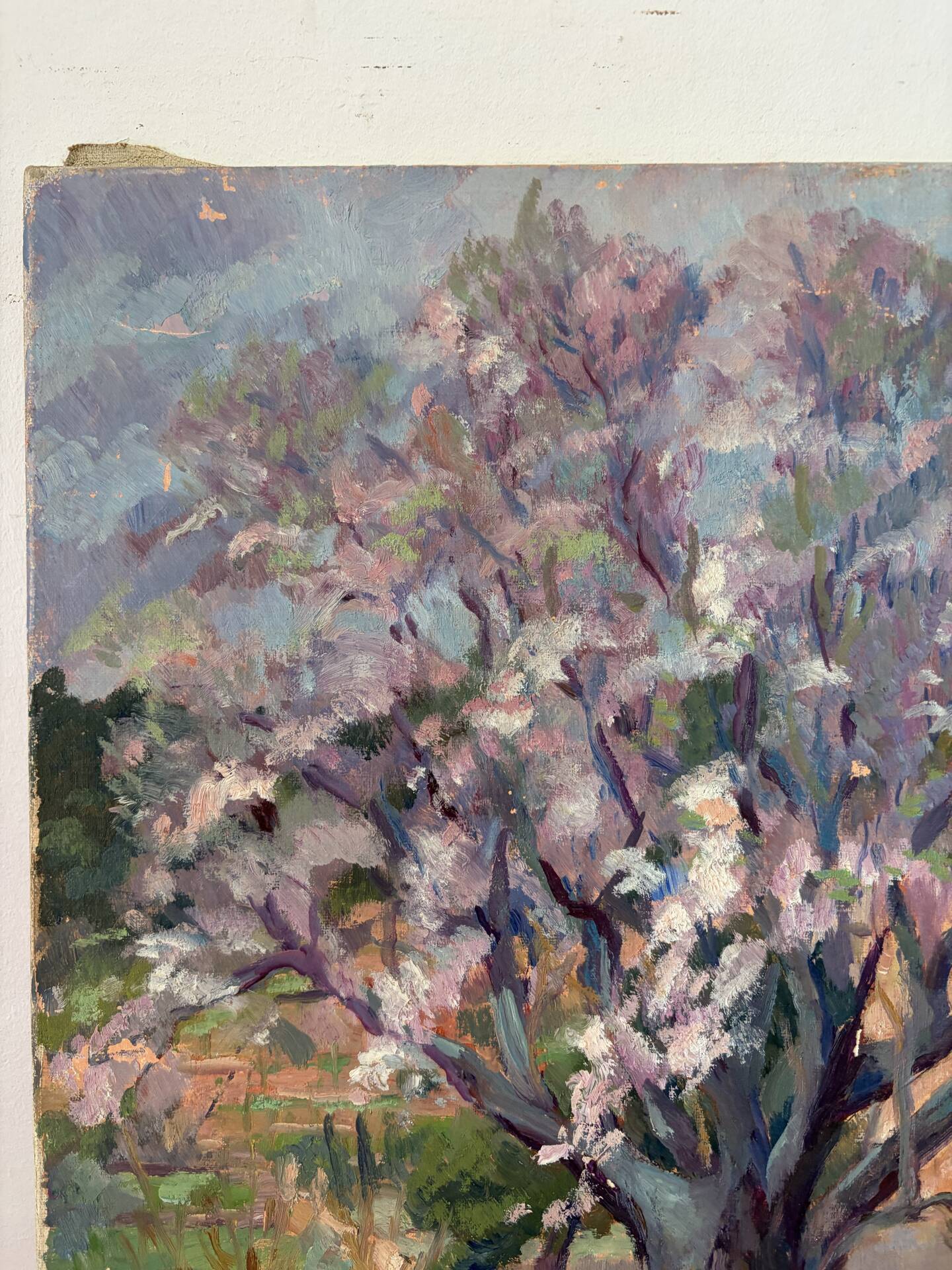 Under the cherry tree in bloom, oil on canvas signed Lacas.