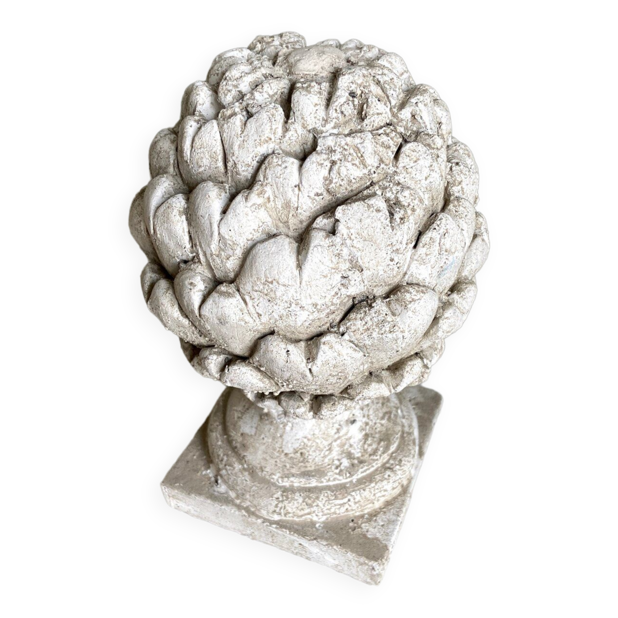 Ornamental artichokes in bleached concrete