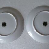 Assiettes à dessert porcelaine fine  de Bavière -botaniqu