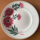 6 old flat plates in Choisy-le-Roi earthenware