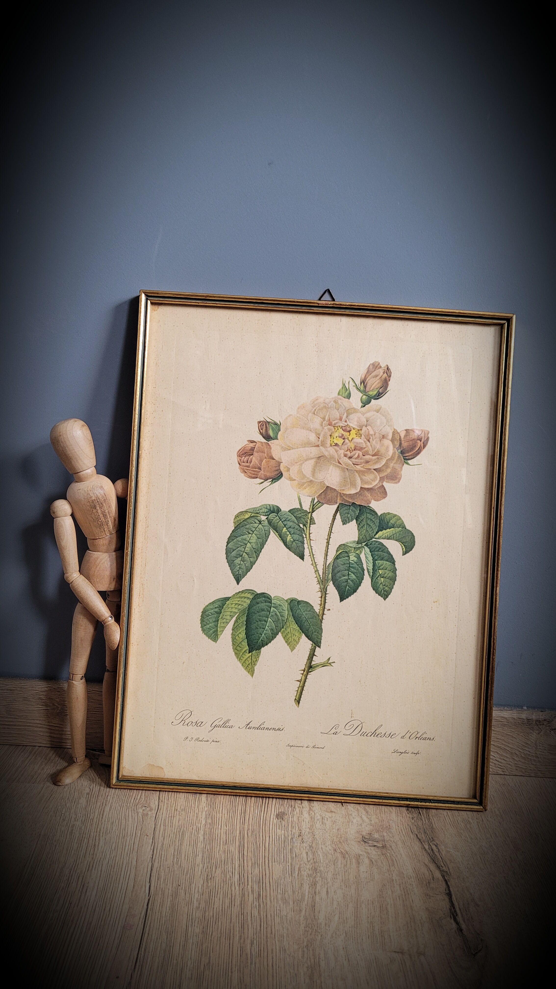 Litho Rosier Duchesse Orléans