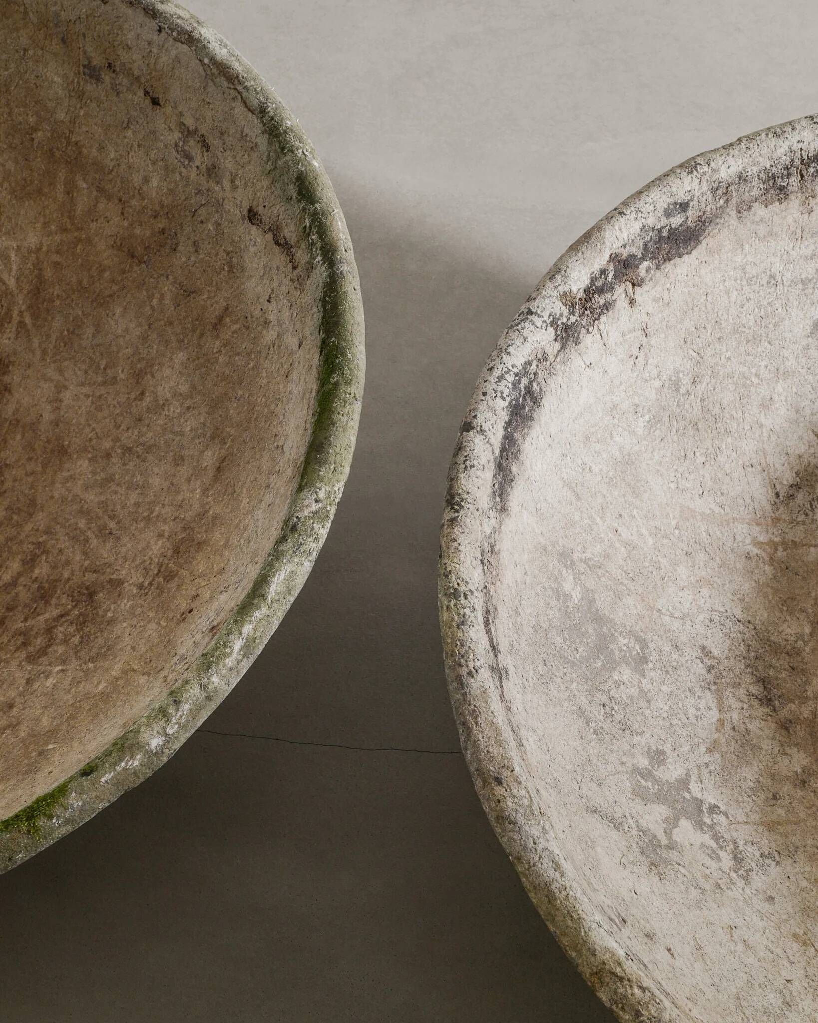 Oversized Mid Century Concrete Planters by Willy Guhl, 1950s