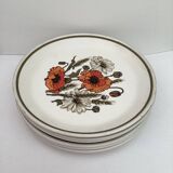 Set of 6 cups + 6 plates, vintage Ironstone by J&G Meakin