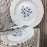 12 antique dessert plates made in France Digoin Sarreguemines