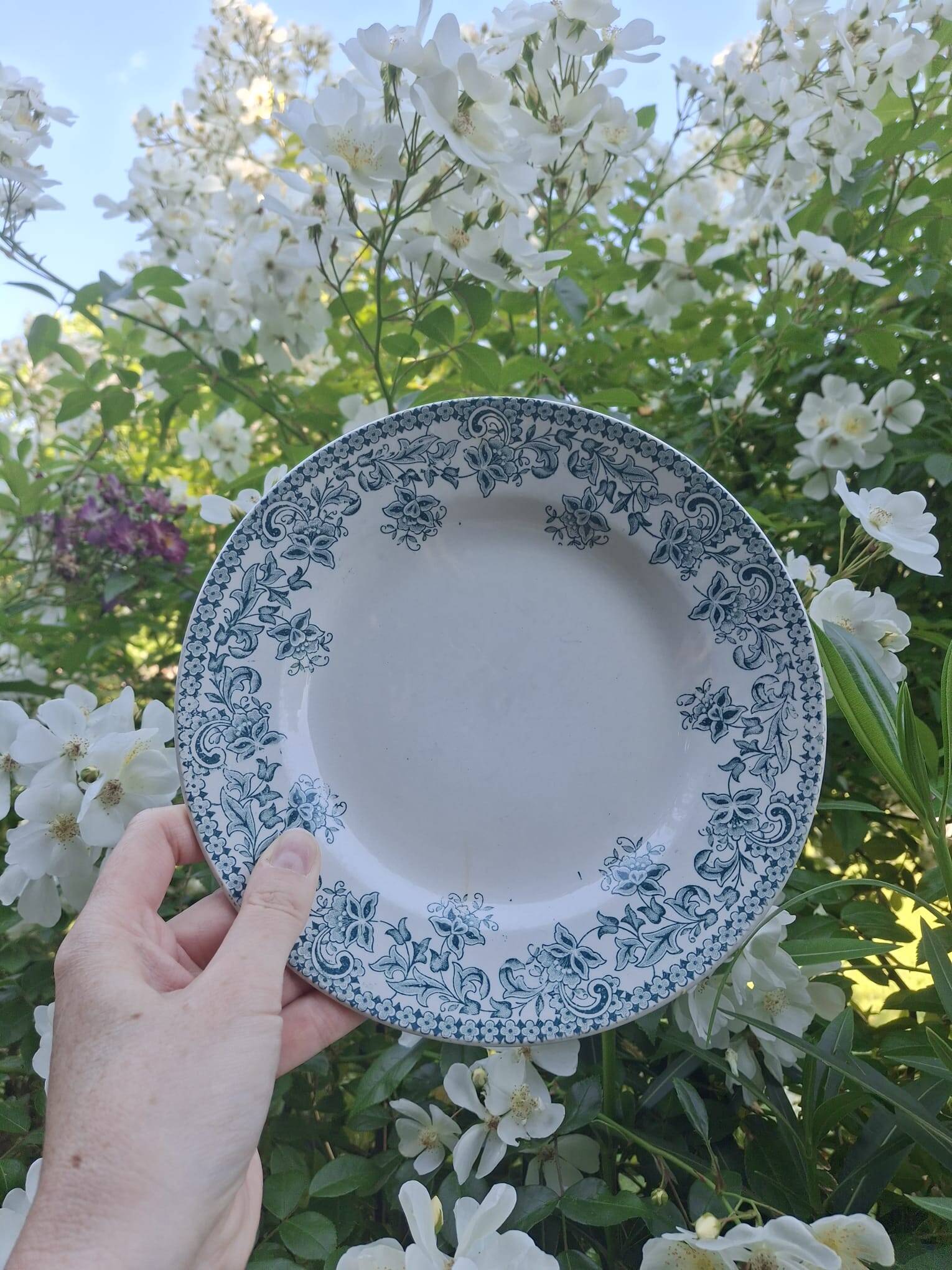 Set of 4 antique ironstone plates from Saint-Amand, "Jane" model.