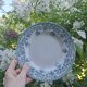 Set of 4 antique ironstone plates from Saint-Amand, "Jane" model.