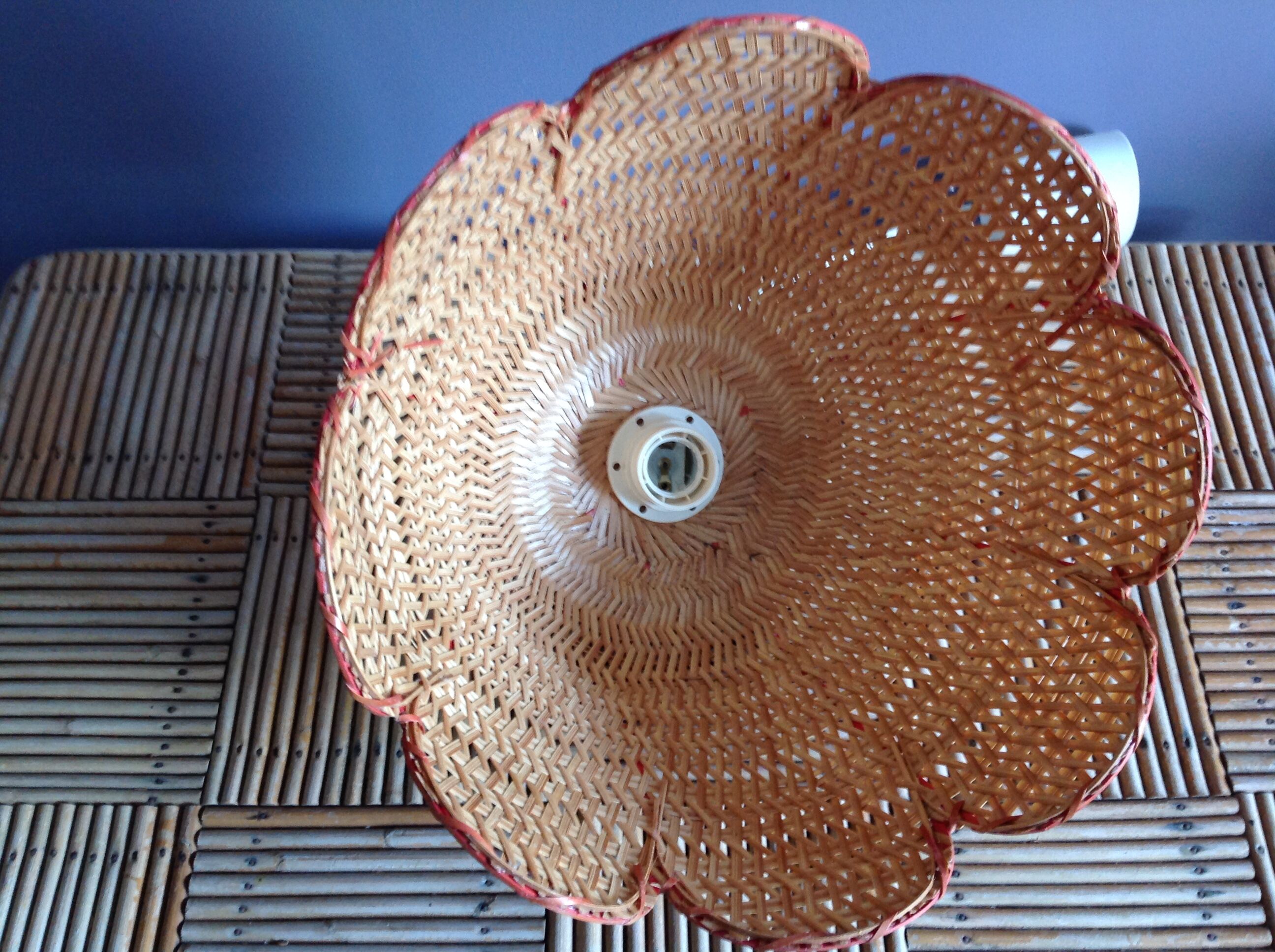 Flower rattan hanging