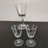 Verres apéritifs, digestifs tulipe gravé anciens
