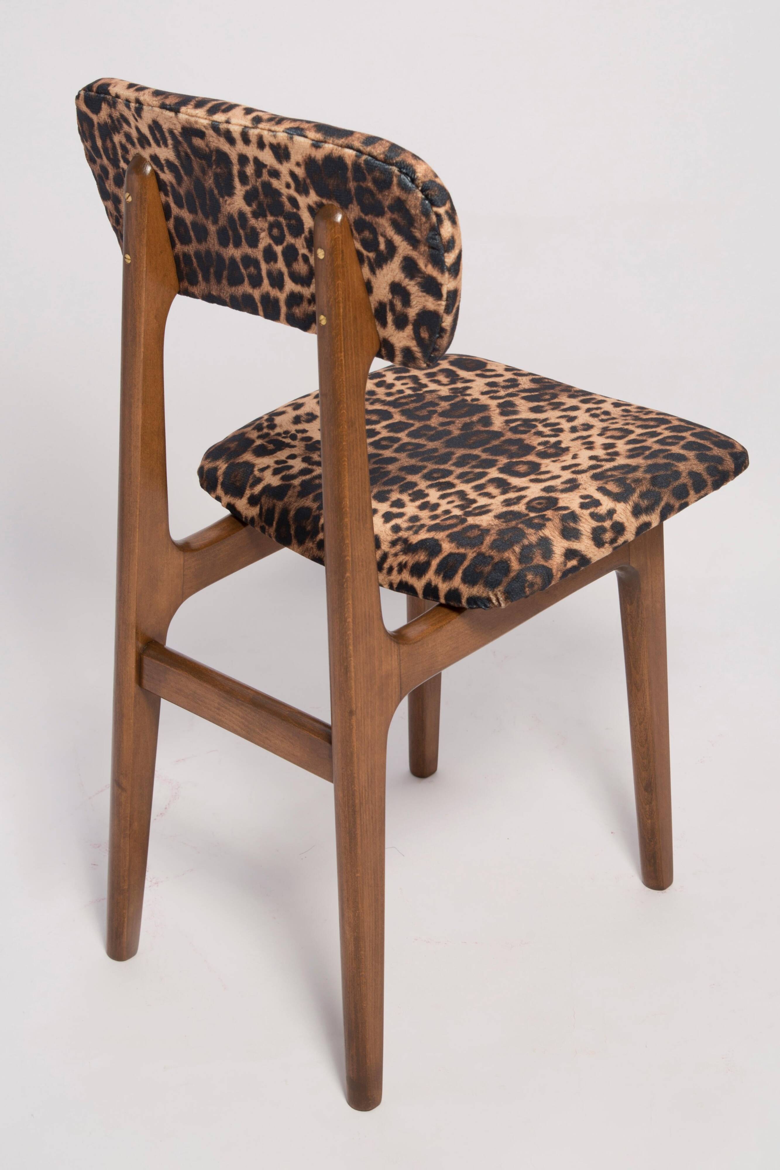Mid-century leopard velvet chair, beech wood, Rajmund Halas, Poland, 1960s