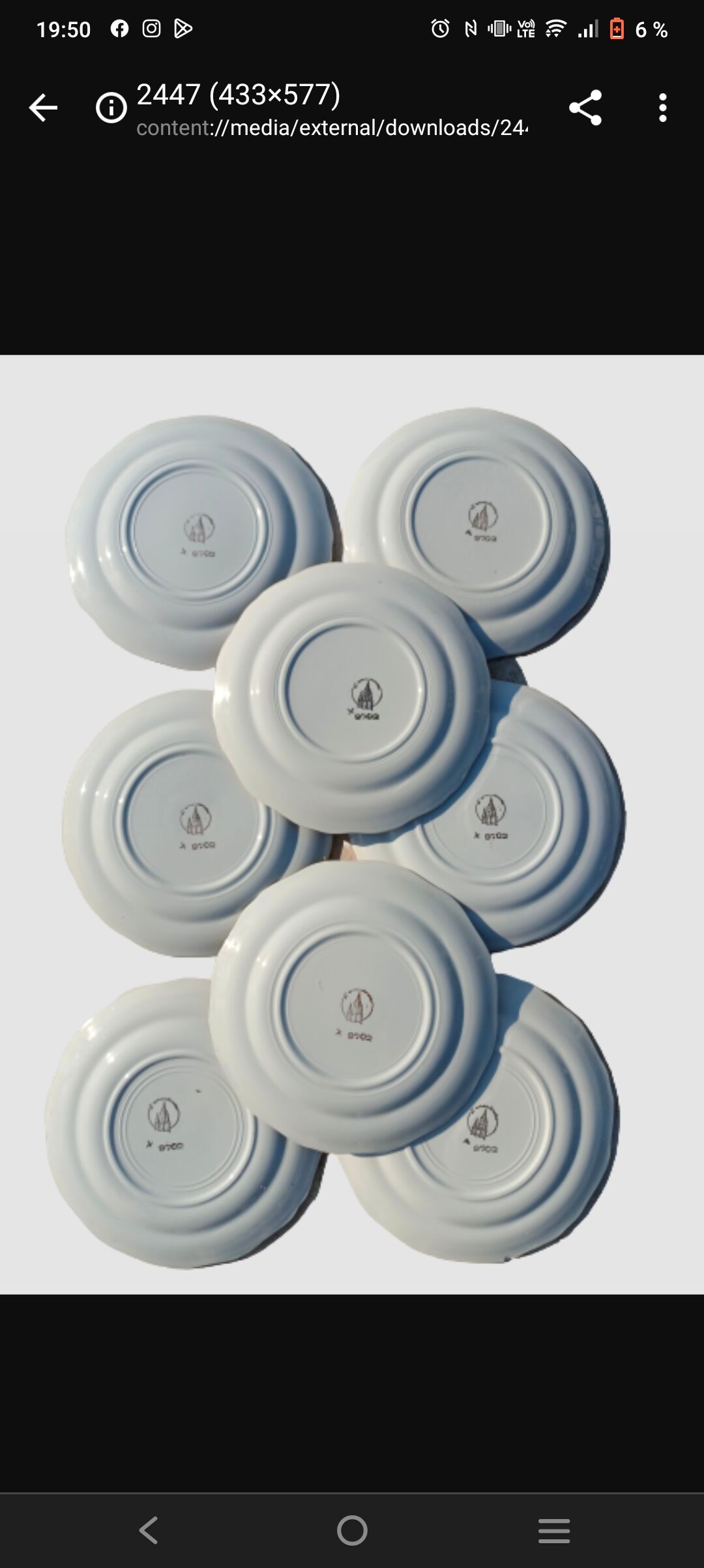 Flat plates L'Amandinoise