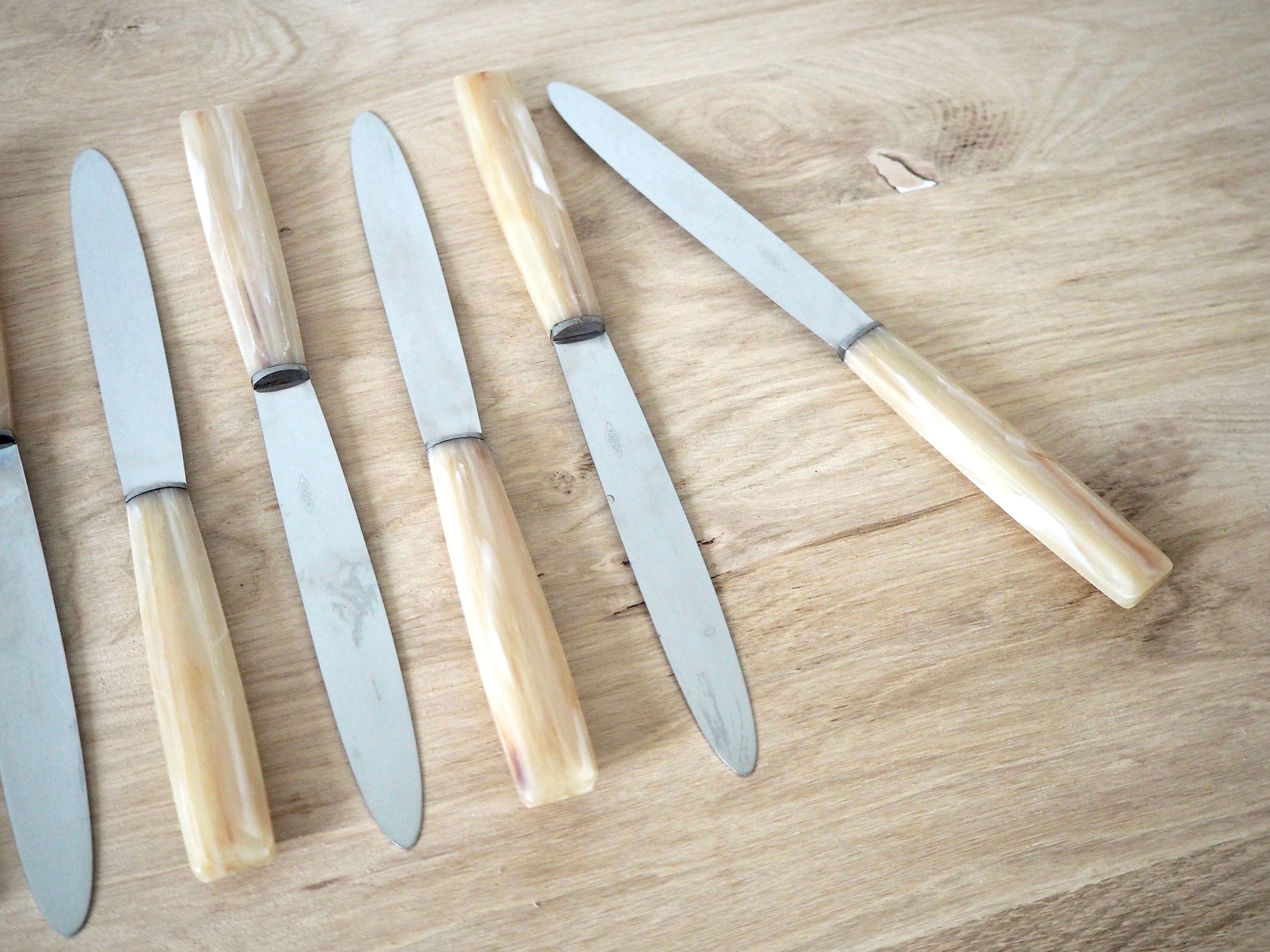 Set de 12 couteaux avec manches effet corne dans leur coffret