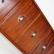 Dutch Industrial Mahogany Apothecary Cabinet, Mid-20th Century