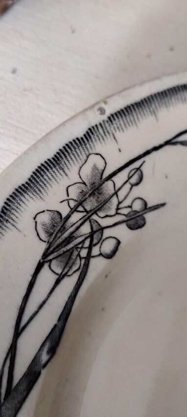 Flat plate JV et Cie Bordeaux / Chevreuse